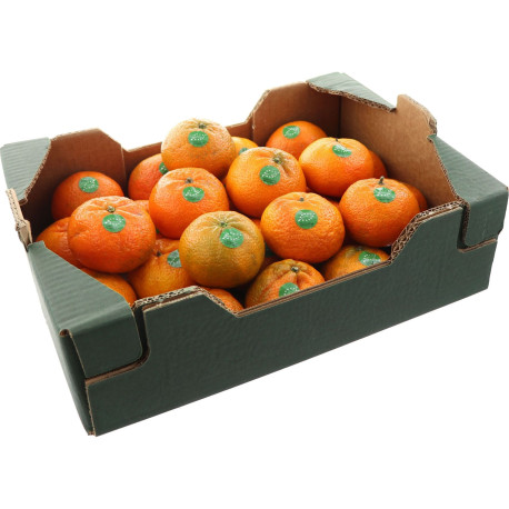 BIO CLEMENTINE 6KG